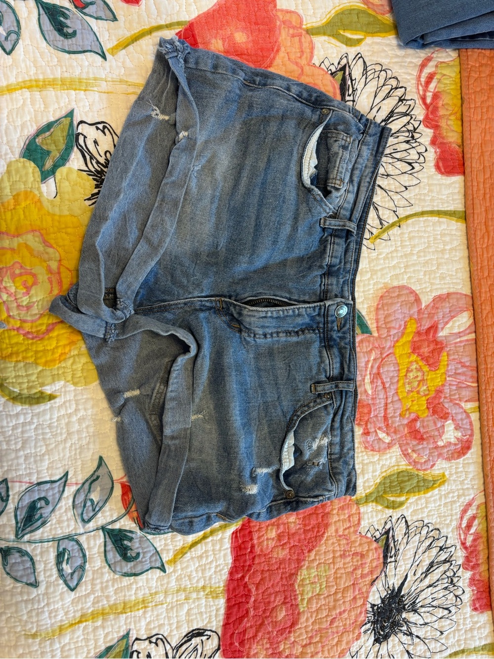 sofia by sofia vergara light blue denim shorts